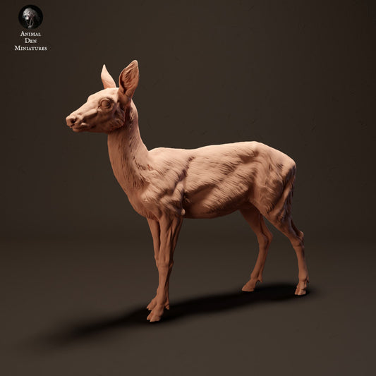 Photo de produit Figurine d'animal Diorama, modélisme : 0 : Cerf européen : Animaux d'Europe