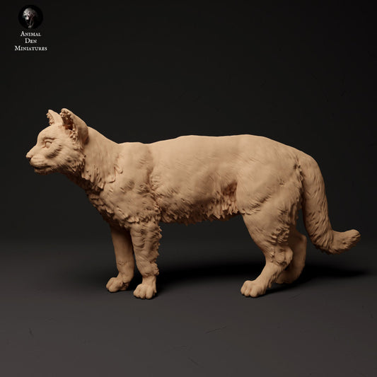 Photo de produit Figurine d'animal Diorama, Modélisme : 0 : Chat sauvage écossais : Animaux d'Europe du Nord
