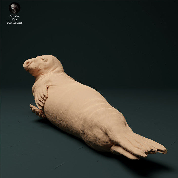 Photo de produit Figurine d'animal Diorama, modélisme : 0 : Phoque commun mâle : Animaux de la mer