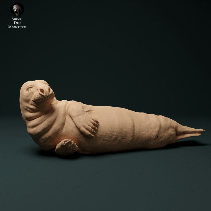 Photo de produit Figurine d'animal Diorama, modélisme : 0 : Phoque commun mâle : Animaux de la mer