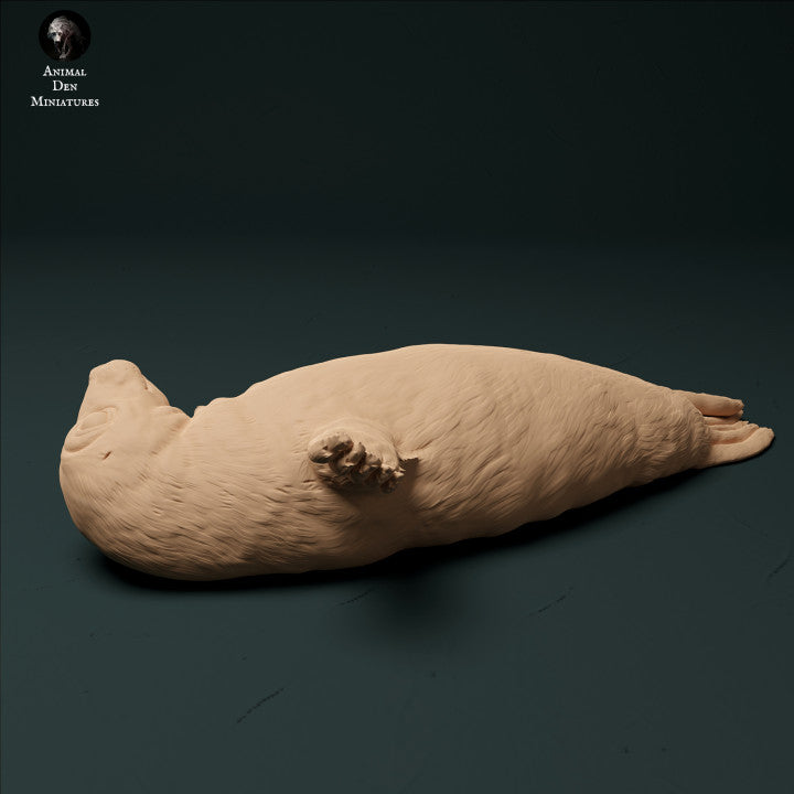 Photo de produit Figurine d'animal Diorama, Modélisme : 0 : Jeune phoque en cône : Animaux de la mer