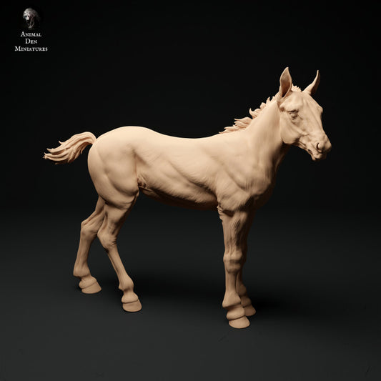Photo de produit Figurine d'animal Diorama, modélisme : 0 : Figurine d'animal de ferme : 2 poulains - cheval debout et cheval marchant