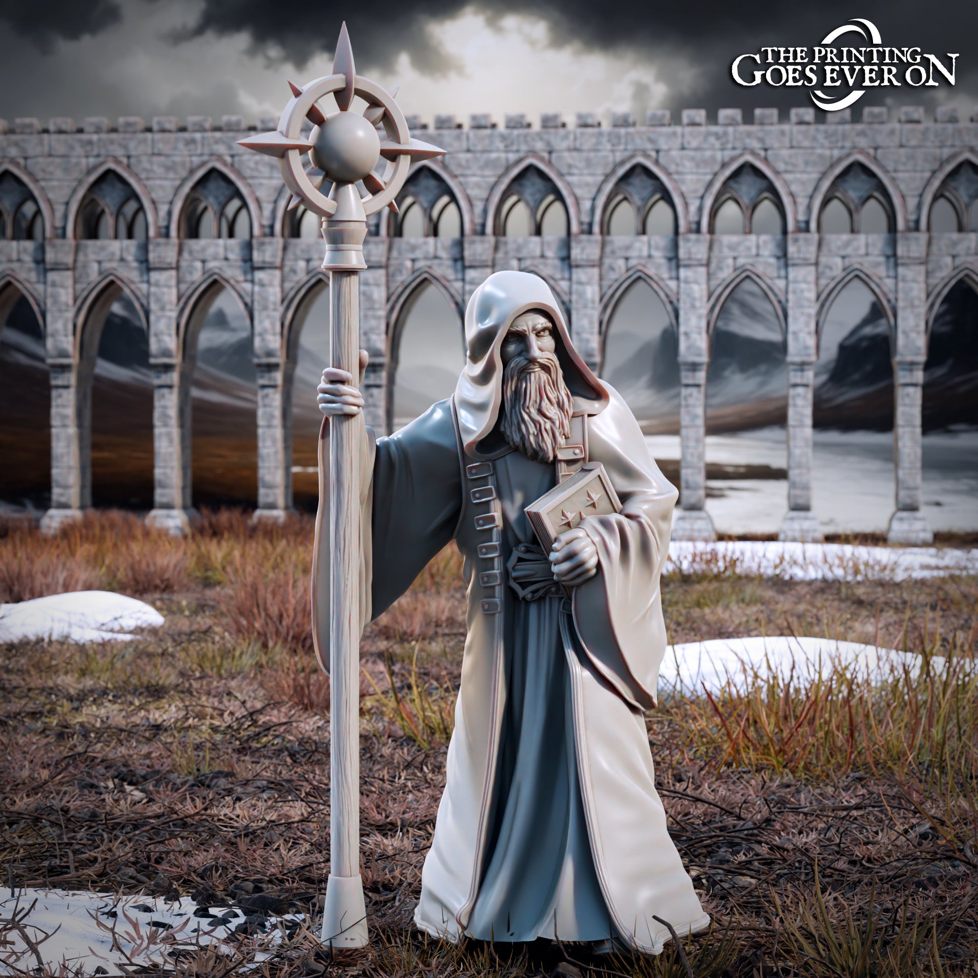 Photo du produit Tabletop 28mm The Printing Goes Ever On (TPGEO) 0 : Magicien - Sage des hommes du Nord - Sorcier Malion le Mystique