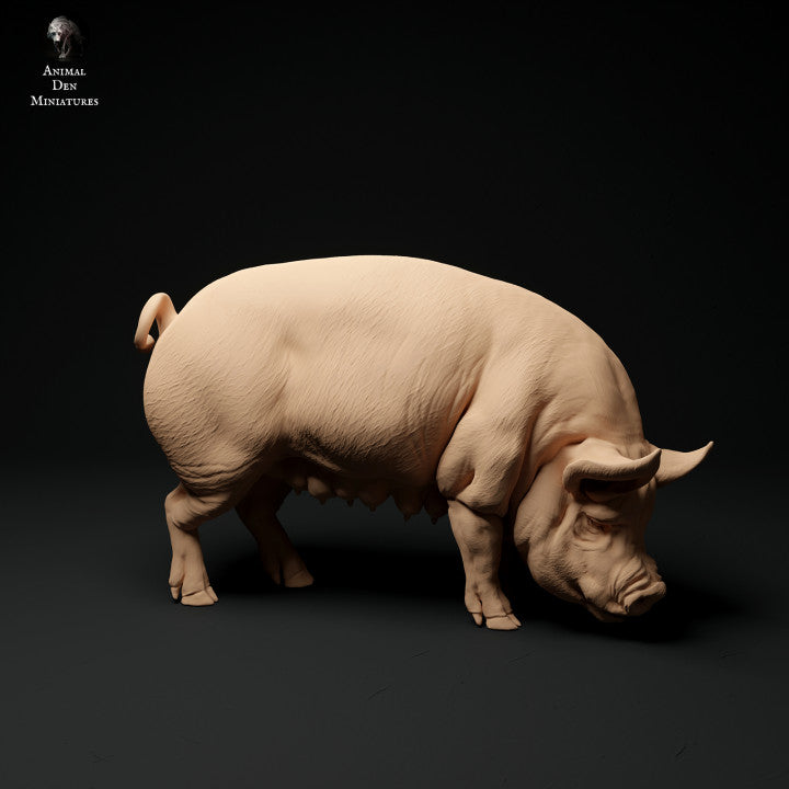 Photo de produit Figurine animale Diorama, modélisme : 0 : Figurines d'animaux de ferme : Cochon en train de brouter - Cochon Berkshire