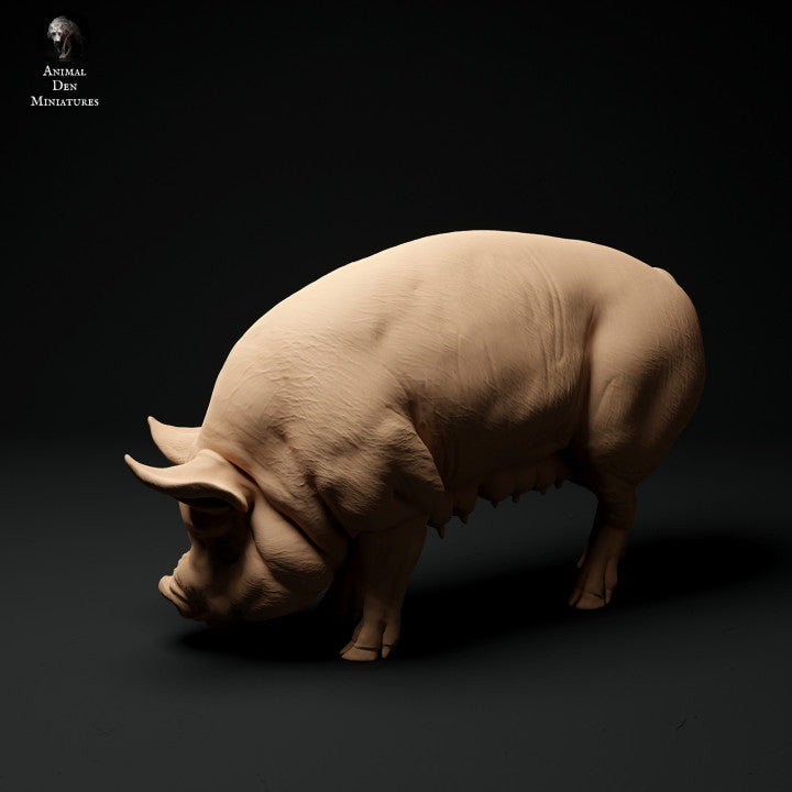 Photo de produit Figurine animale Diorama, modélisme : 0 : Figurines d'animaux de ferme : Cochon en train de brouter - Cochon Berkshire