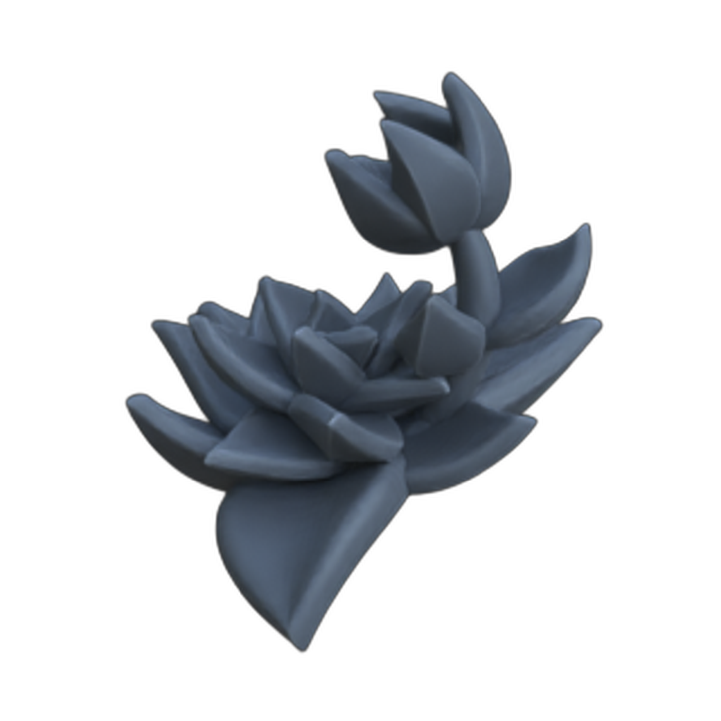 Photo de produit diorama et décoration de modélisme, accessoires : 0 : Plantes et végétaux : Succulentes