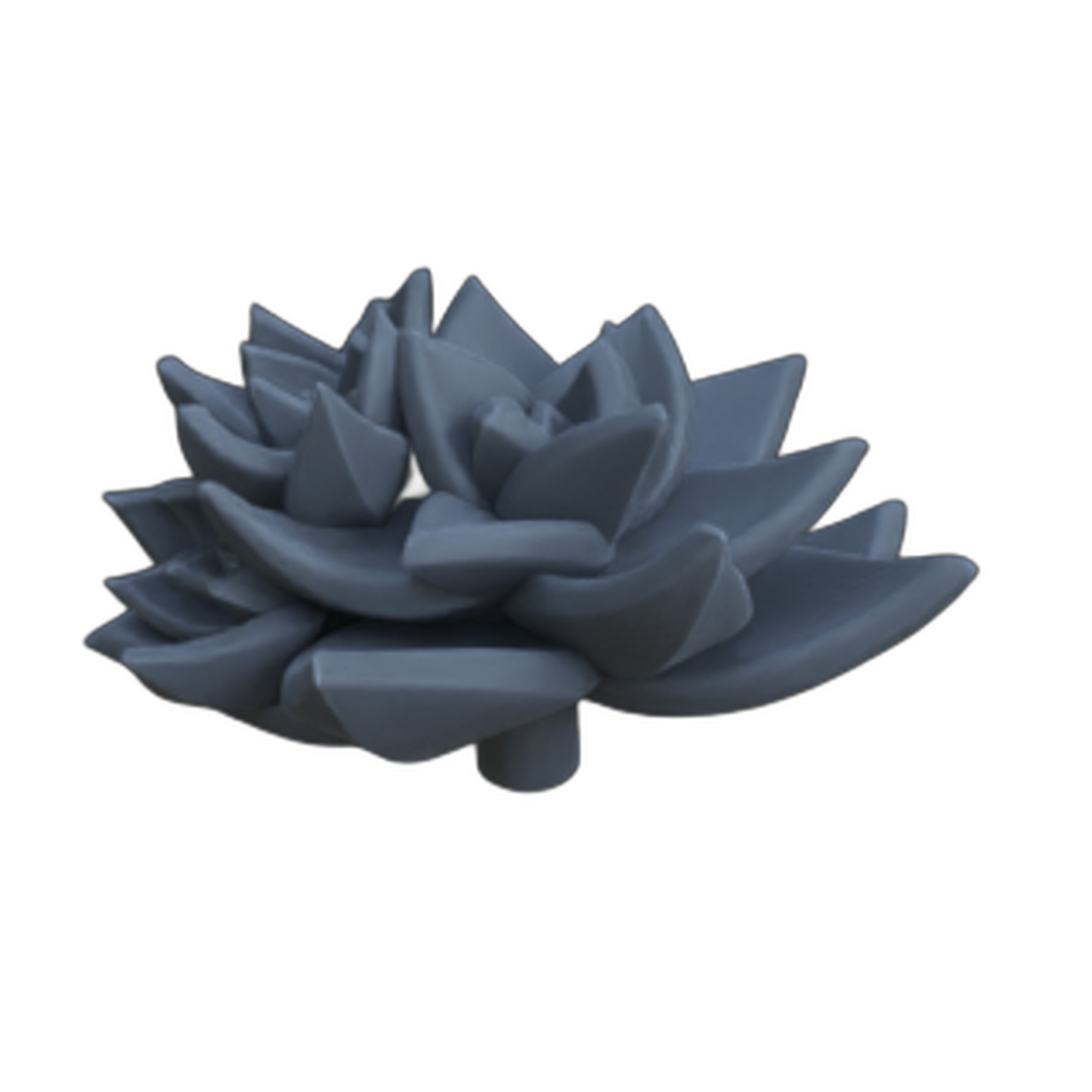 Photo de produit diorama et décoration de modélisme, accessoires : 0 : Plantes et végétaux : Succulentes