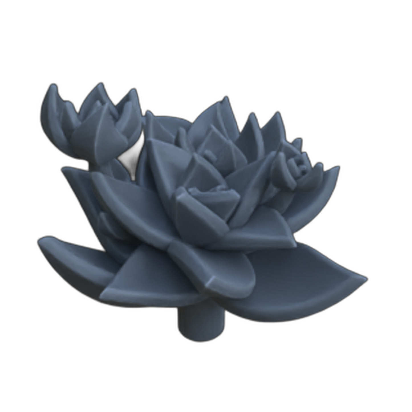 Photo de produit diorama et décoration de modélisme, accessoires : 0 : Plantes et végétaux : Succulentes