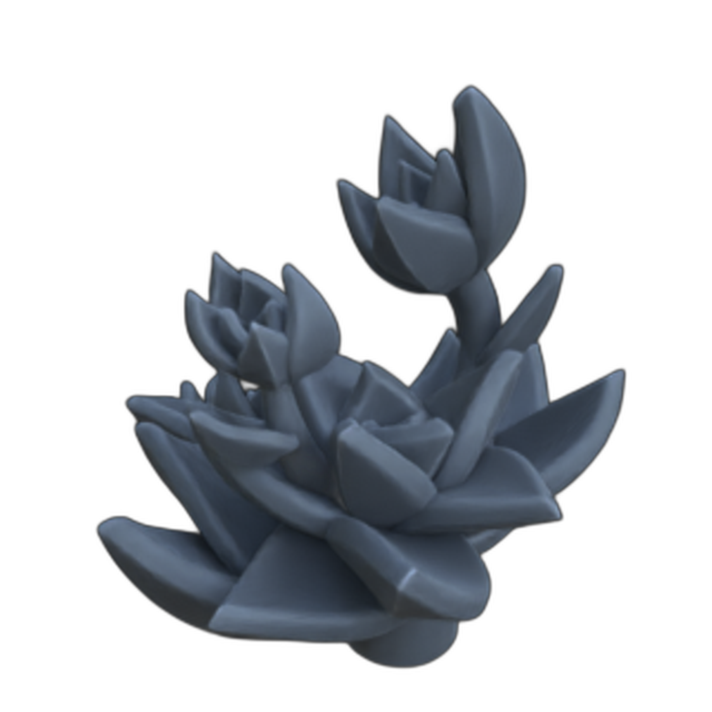 Photo de produit diorama et décoration de modélisme, accessoires : 0 : Plantes et végétaux : Succulentes