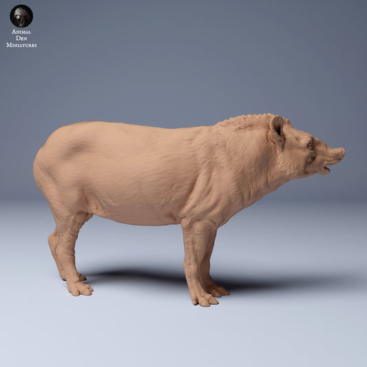 Photo de produit Figurine d'animal Diorama, modélisme : 0 : Tapir : Animaux d'Amérique du Sud