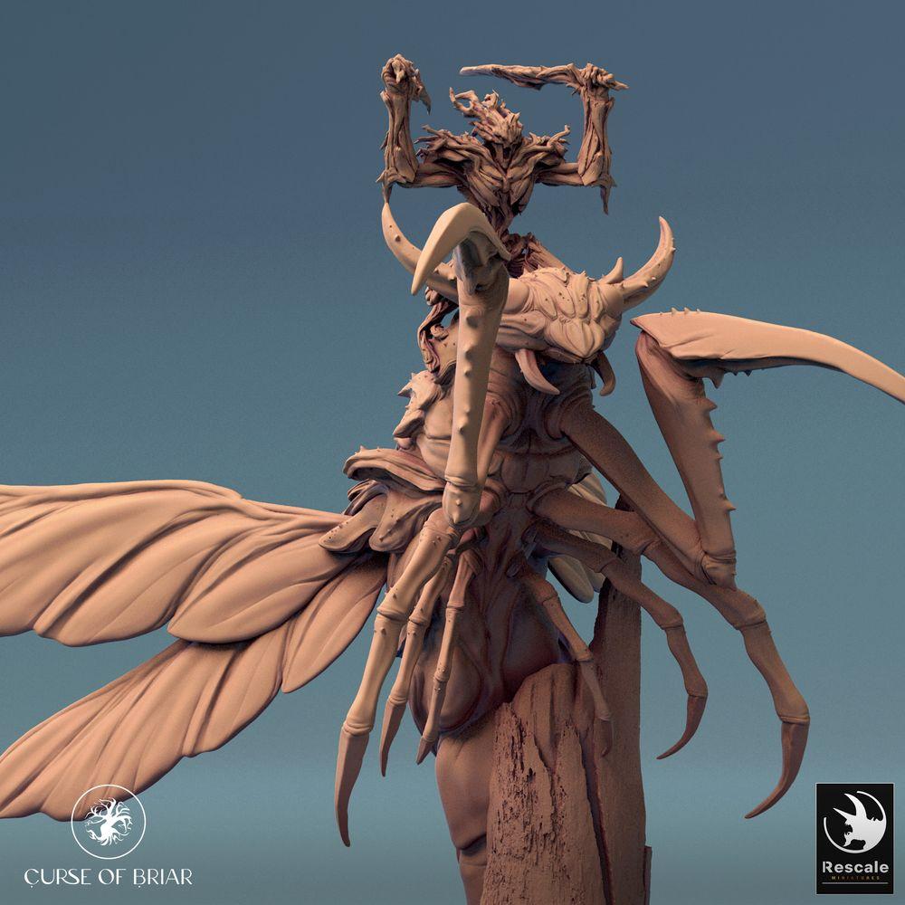 Photo de produit Tabletop 28mm Lord of the Print (LotP) 0 : Miniature Tabletop : Cavalier démon insectoïde sur bête ailée, seigneur des essaims, chaman esprit de la forêt, garde Skycutter (24_07_E4)