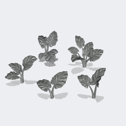 Photo du produit Miniature Meubles, Décoration Diorama et Modélisme 0 : Plantes et Végétaux : 5 Plantes Oreilles d'Éléphant - Alocasia Odora