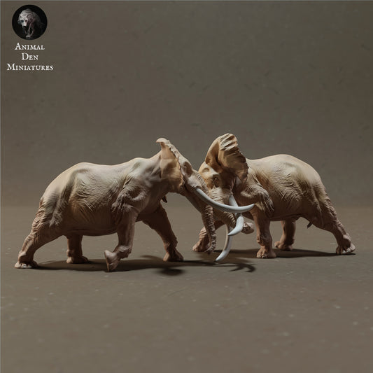 Photo de produit Figurine animale Diorama, Modélisme : 0 : Éléphants d'Afrique mâles en train de se battre - Animaux de la savane