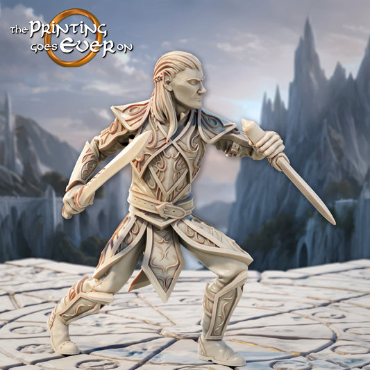 Photo de produit Tabletop 28mm The Printing Goes Ever On (TPGEO) 0 : Duelistes Elfes - 2 Guerriers du peuple Elfe - Épéistes