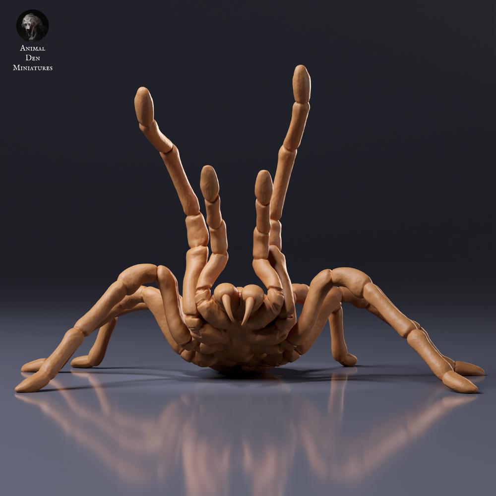 Photo du produit, figurine animalière Animal Den Miniatures 7 : figurine d’arachnide : mygale de Goliath - posture menaçante (26_10_02)