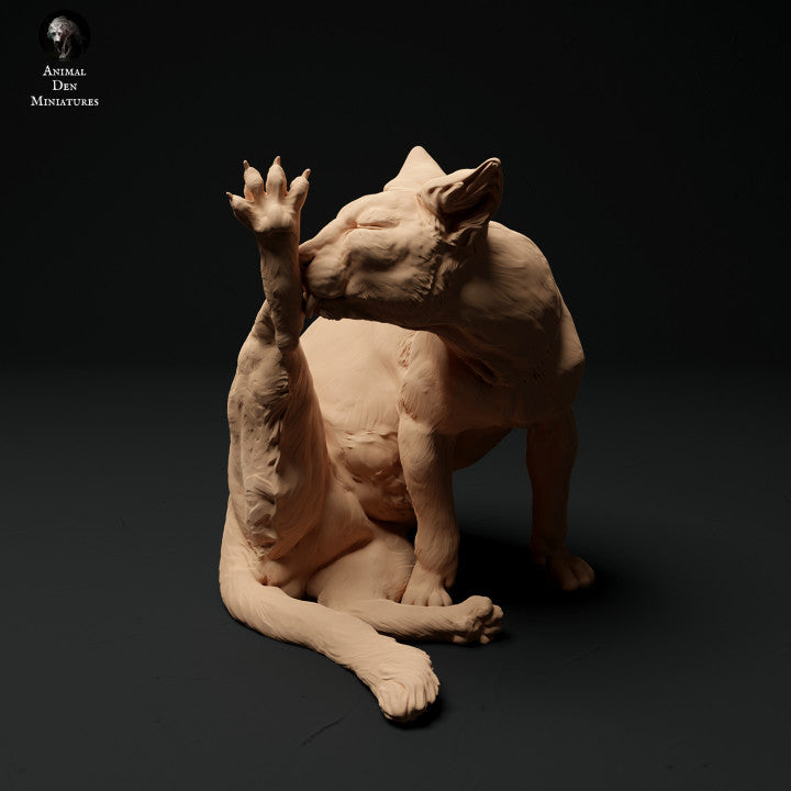 Photo de produit Figurine d'animal Diorama, Modélisme : 0 : Figurine d'animal de compagnie : Chat en train de se lécher