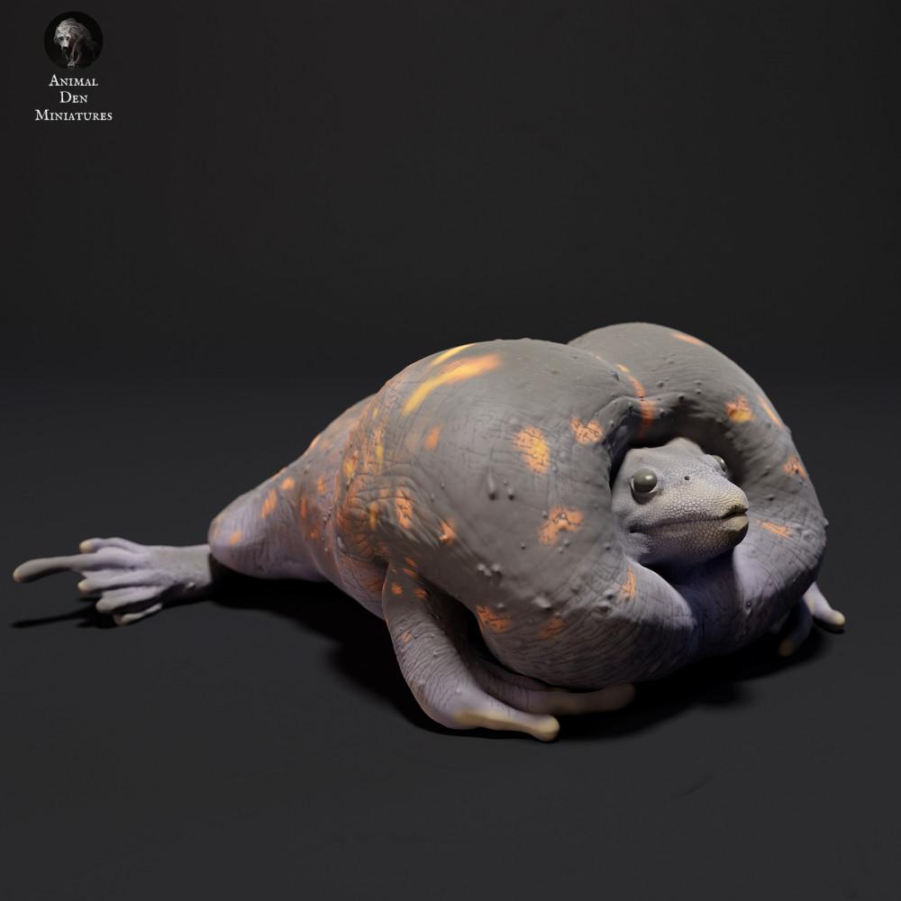 Photo produit 2 : figurine d’amphibien : crapaud fouisseur mexicain - coassant (23_09_04)
