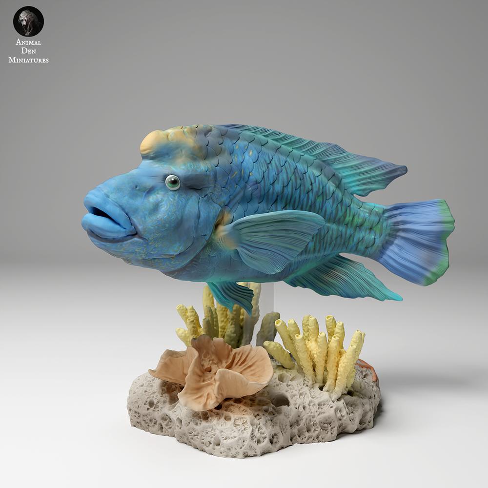 Photo produit figurine animale Animal Den Miniatures 2 : figurine d’animal marin : labre Napoléon (24_06_07)