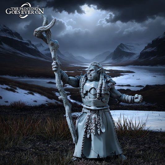 Photo de produit Tabletop 28mm The Printing Goes Ever On (TPGEO) 0 : Chaman Orque - Invocateur et Magicien - Créatures maléfiques des Royaumes du Nord