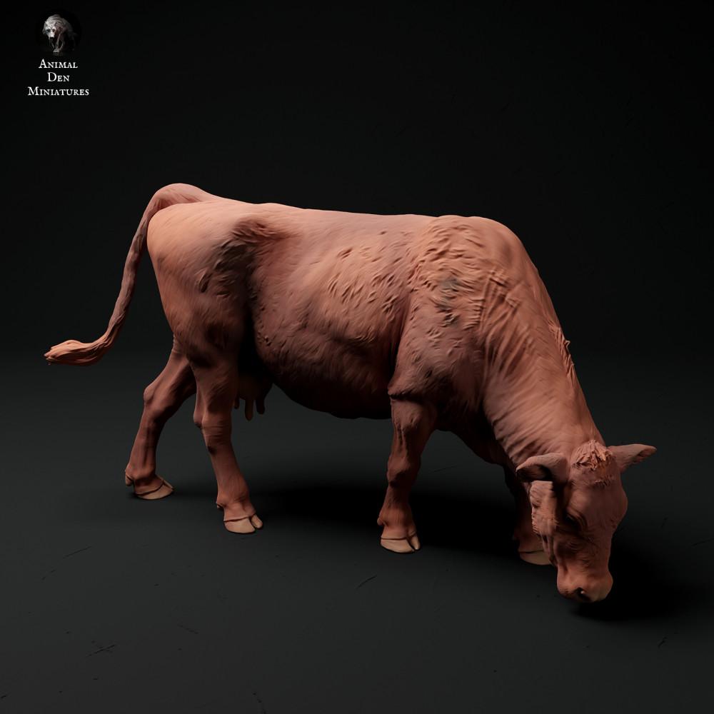 Photo produit figurine animale Animal Den Miniatures 2 : figurine animale de ferme : vache Red Devon - en train de brouter (24_01_65)