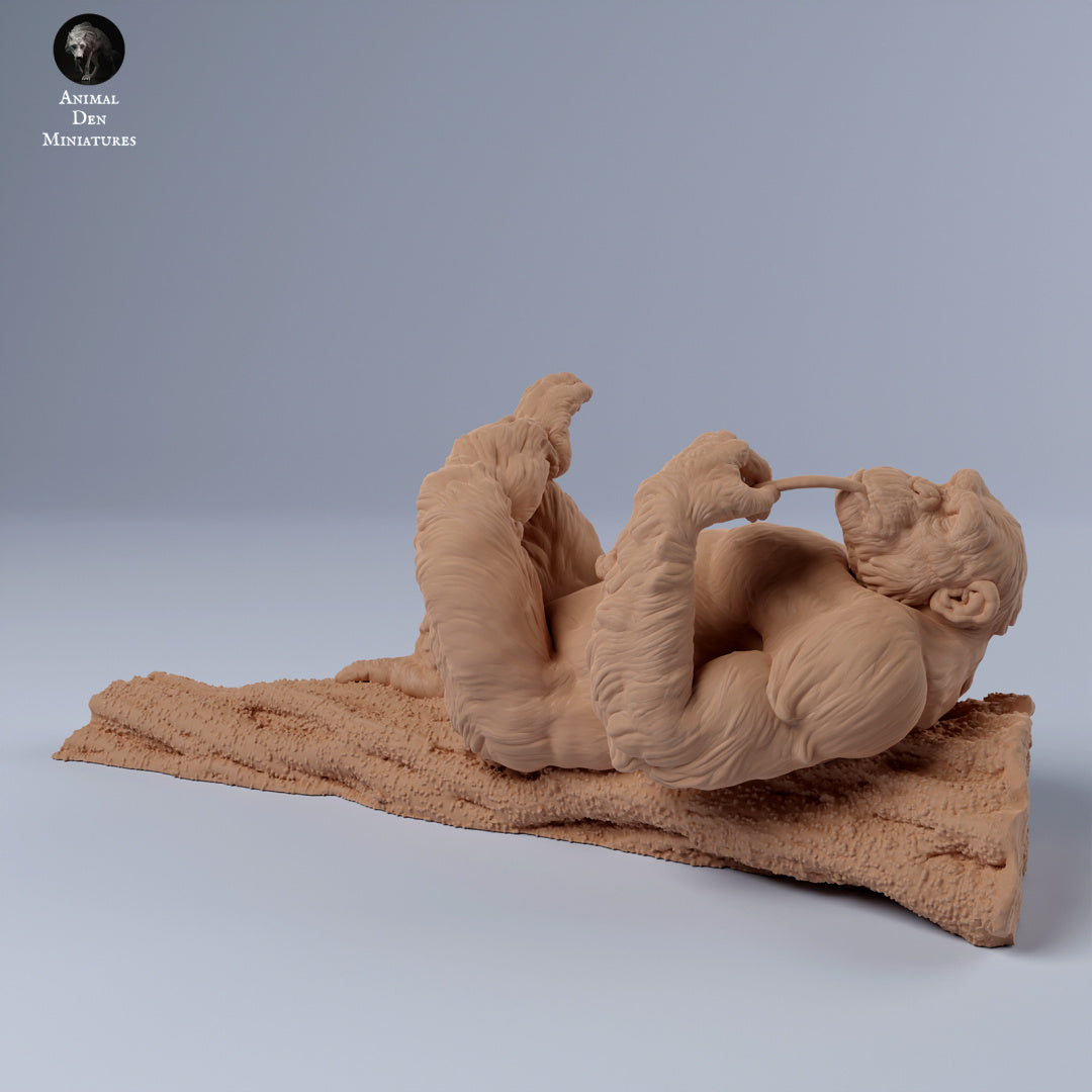 Photo de produit Figurine d'animal Diorama, modélisme : 0 : Singe mâle couché sur une branche : Animaux d'Afrique