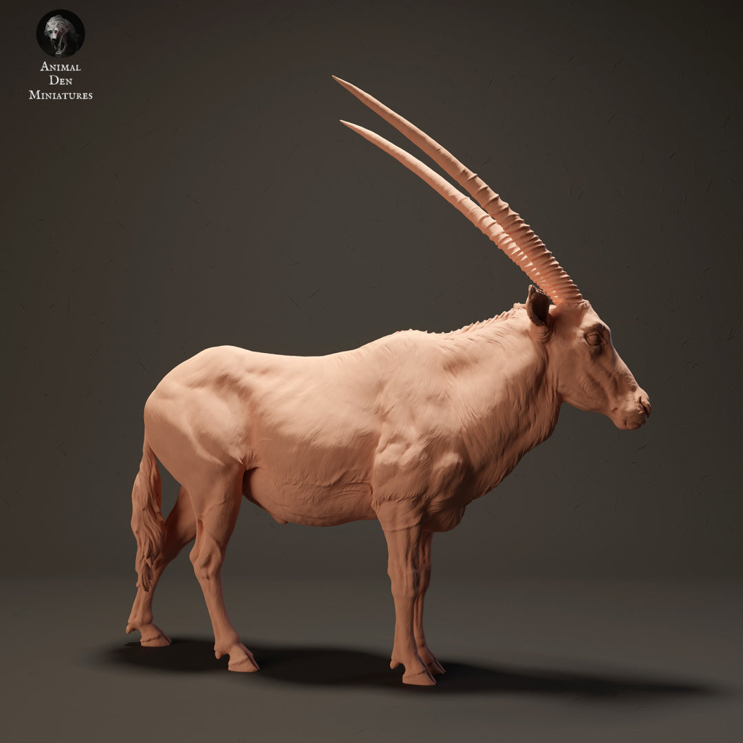 Photo de produit Figurine d'animal Diorama, modélisme : 0 : Gemsbok Antilope : Animaux d'Afrique