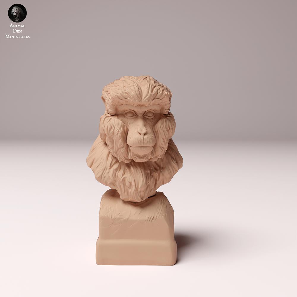 Photo produit figurine animale Animal Den Miniatures 2 : Figurine d’animal sauvage : macaque japonais - buste (24_10_11)