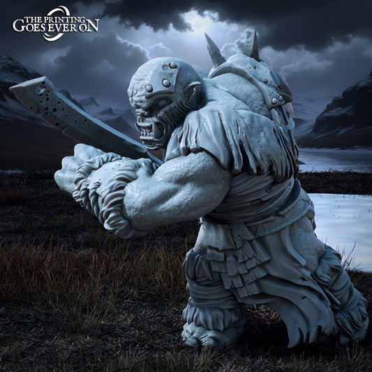 Photo de produit Tabletop 28mm The Printing Goes Ever On (TPGEO) 0 : Troll Trupp - Grandes Bêtes - Créatures maléfiques des Royaumes du Nord