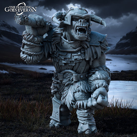 Photo du produit Tabletop 28mm The Printing Goes Ever On (TPGEO) 0: Troll puissant B - Grande bête - Créatures maléfiques des royaumes du Nord