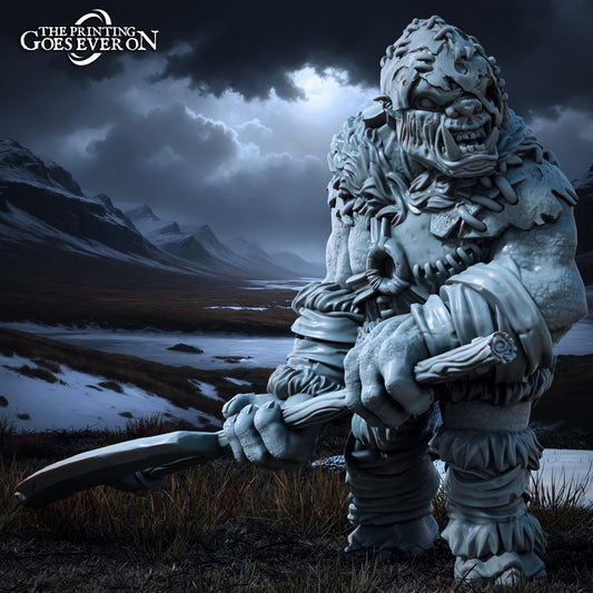 Photo du produit Tabletop 28mm The Printing Goes Ever On (TPGEO) 0 : Puissant chef troll - Grande bête - Créatures maléfiques des royaumes du Nord