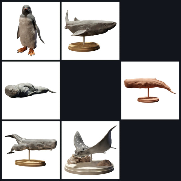 Cette image est l'image de catégorie pour la sortie 23_07 : Tropische Tierminiaturen und Tierfiguren für Diorama & Modellbau
