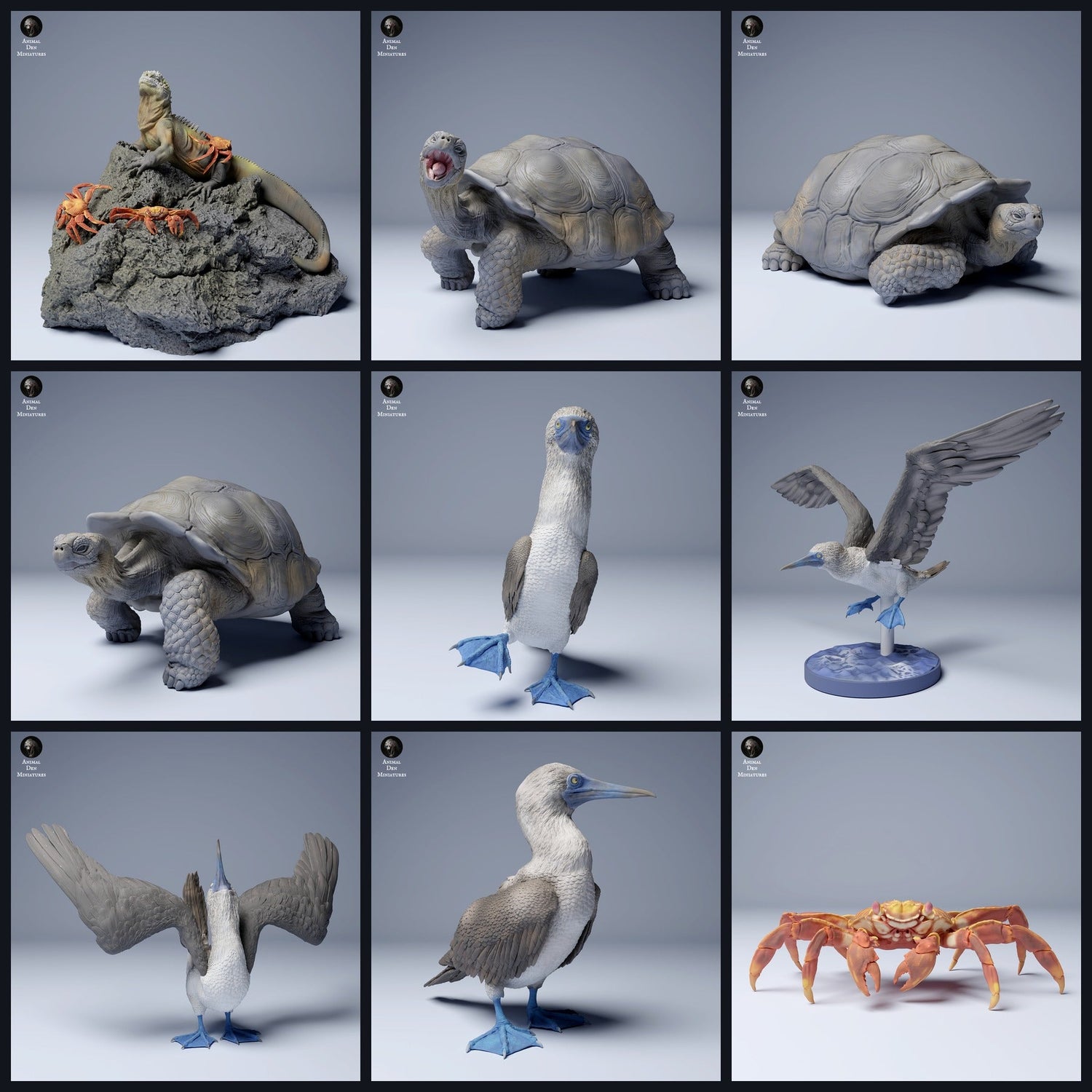 Cette image est l'image de catégorie pour la sortie 24_08: Galápagos-miniatures animales et figurines animales pour diorama et modélisme