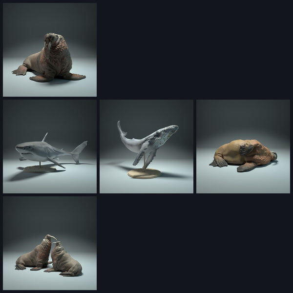 Cette image est l'image de catégorie pour la sortie 22_09 : Meeres-miniatures d'animaux pour diorama et modélisme