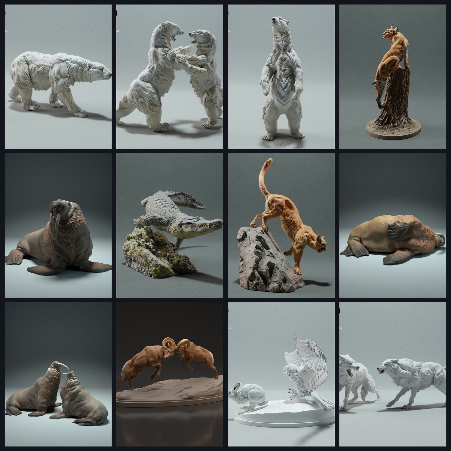 Cette image est l'image de catégorie pour la région : Amérique du Nord