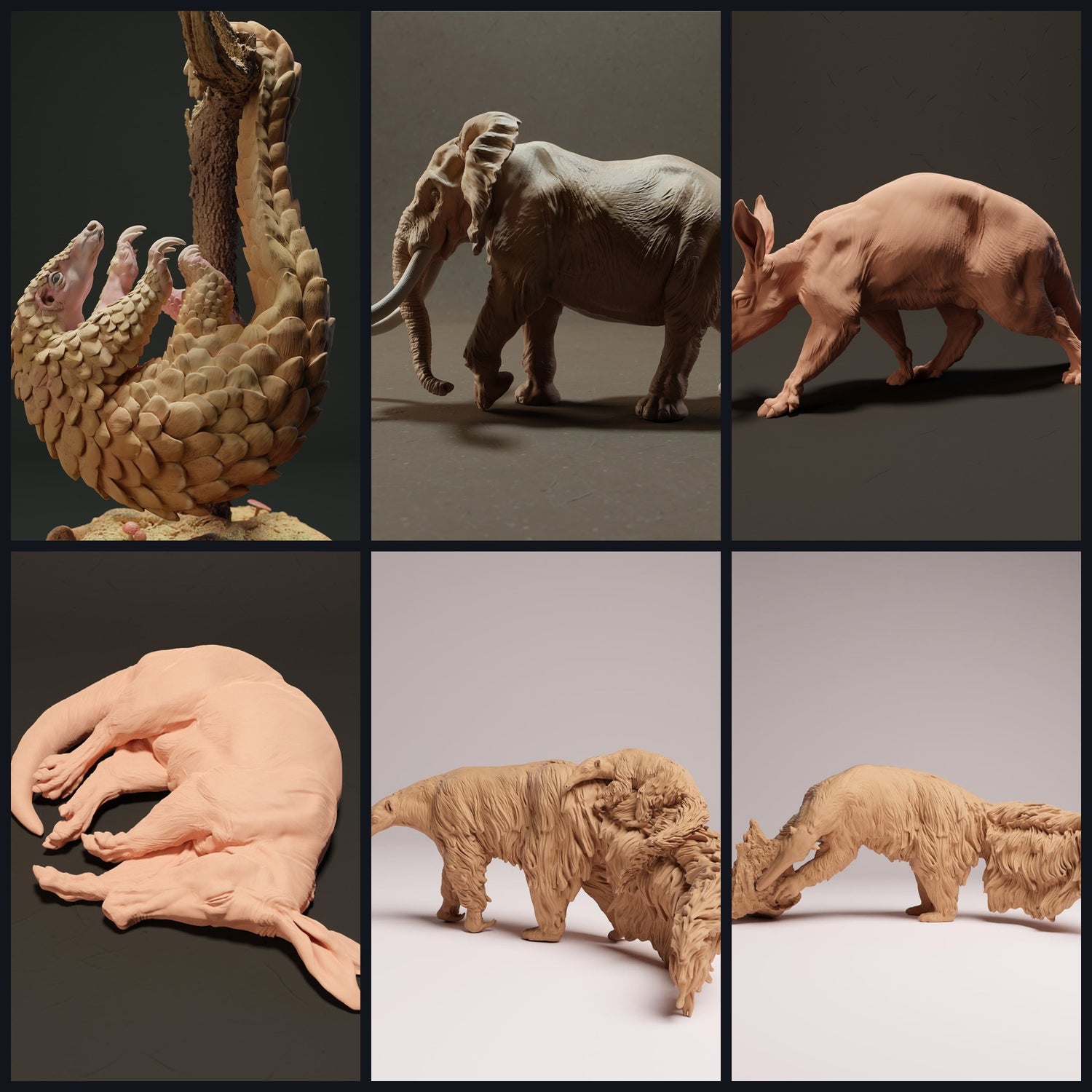 Cette image est l'image de catégorie pour la catégorie : Mammifères exotiques