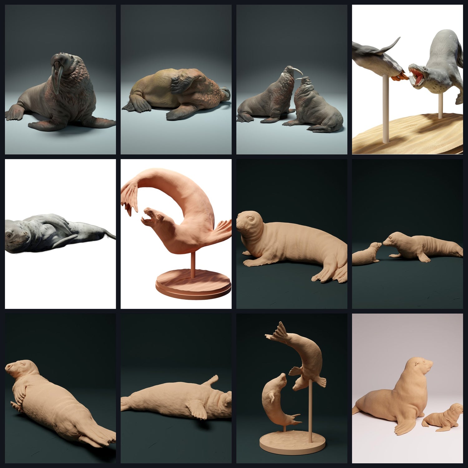 Cette image est l'image de catégorie pour la classe animale : Pinnipèdes