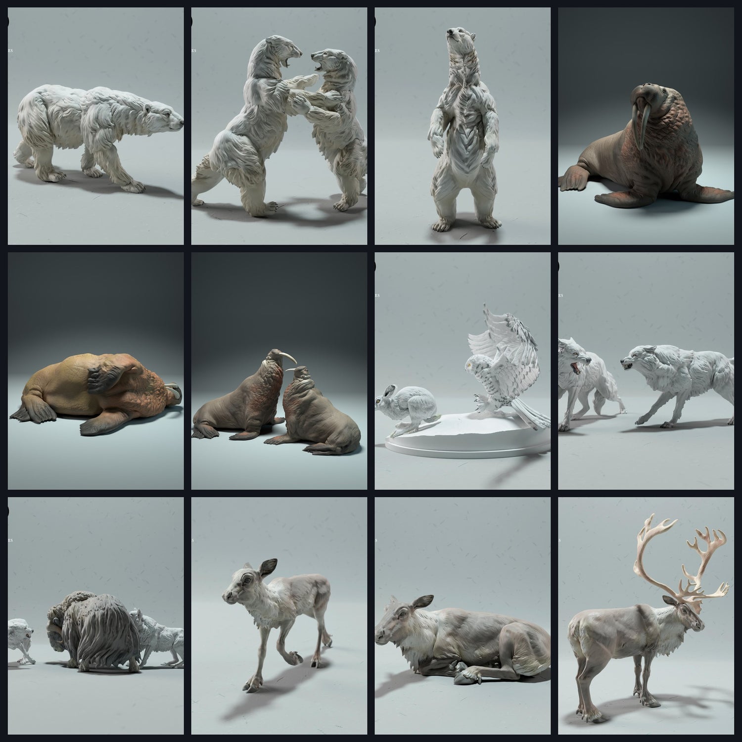 Cette image est l'image de catégorie pour Habitat : Toundra/Polaire