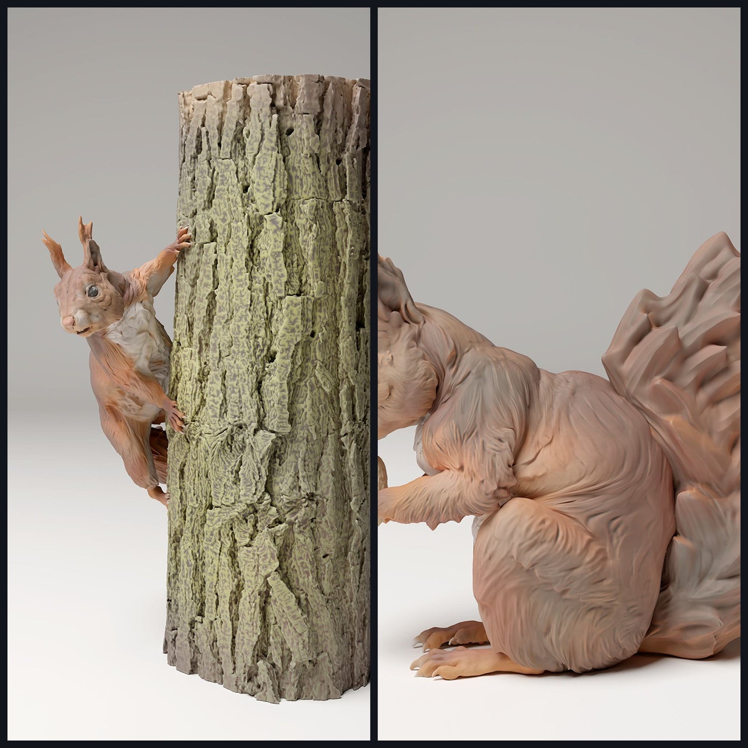 Cette image est l'image de catégorie pour les espèces animales : Rongeurs et Lièvres.