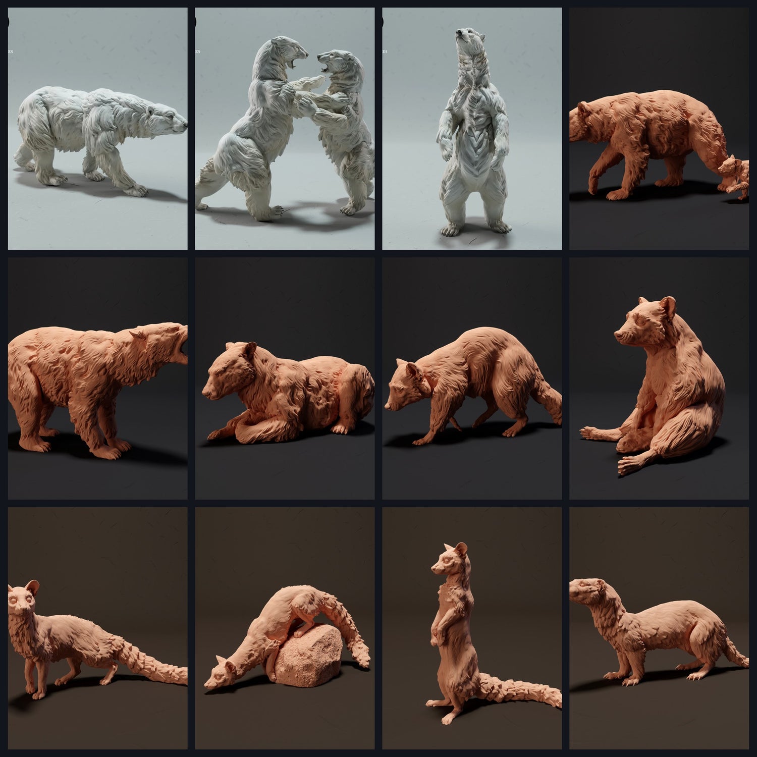 Cette image est l'image de catégorie pour la faune : Ours & Petits prédateurs