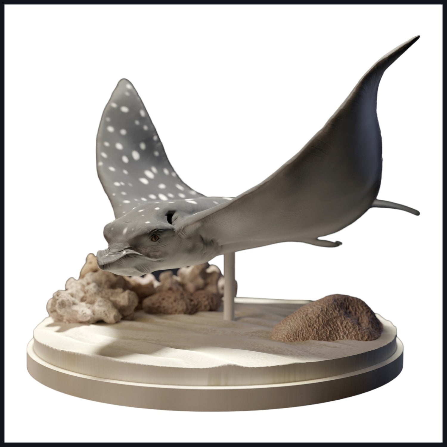 Cette image est l'image de catégorie pour Habitat : Récif corallien