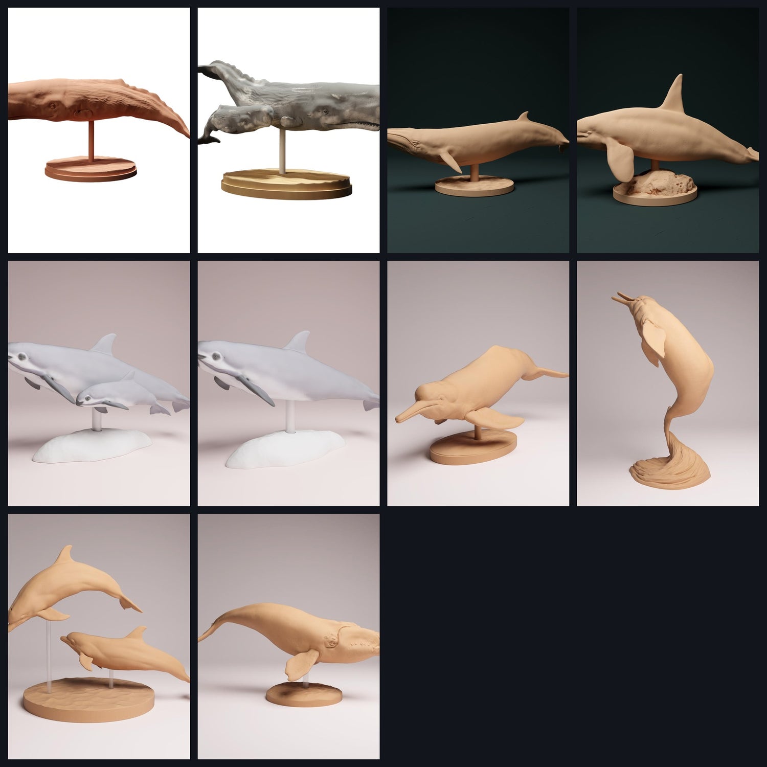 Cette image est l'image de catégorie pour la catégorie : Cétacés & Dauphins