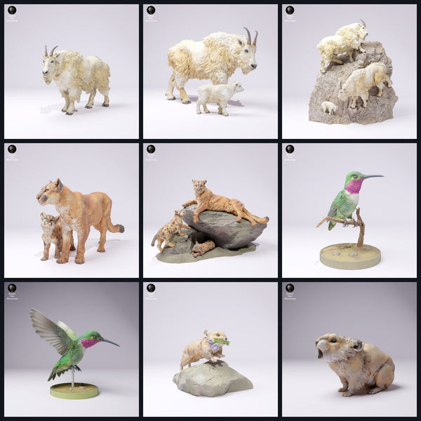 Cette image est l'image de catégorie pour la sortie 25_01: Gebirgs-miniatures animales et figurines animales pour diorama
