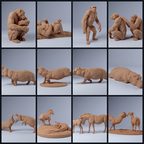 Cette image est l'image de catégorie pour la sortie 24_03: Savannen-miniatures d'animaux pour diorama et modélisme