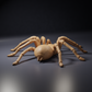 Photo de figurine animalière Animal Den Miniatures 4 : figurine d’araignée : mygale de Goliath (26_10_01)
