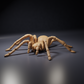 Photo de produit d’une figurine animalière Animal Den Miniatures 0 : figurine d’araignée : mygale Goliath (26_10_01)
