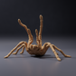 Photo du produit, figurine animale Animal Den Miniatures 0 : figurine d’arachnide : mygale de Goliath - posture menaçante (26_10_02)