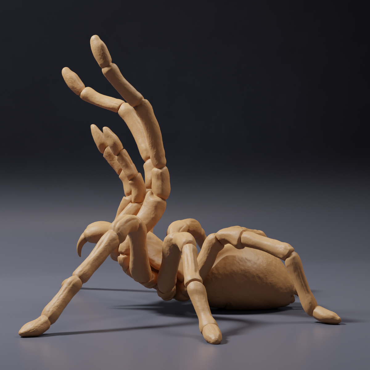 Photo du produit, figurine animale Animal Den Miniatures 3 : arachnide : mygale de Goliath en posture menaçante (26_10_02)