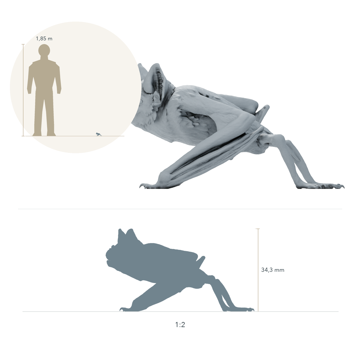 Photo du produit figurine animale Animal Den Miniatures 1 : Figurine de chauve-souris : vampire commun accroupi (26_10_04)