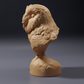 Photo du produit, figurine animalière Animal Den Miniatures 2 : animal sauvage, chouette effraie d’Amérique - buste (26_10_06)