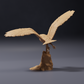 Photo du modèle animal Animal Den Miniatures 3 : figurine d’animal sauvage : chouette effraie américaine en vol (26_10_07)